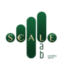 Scale Lab Consulting Agency