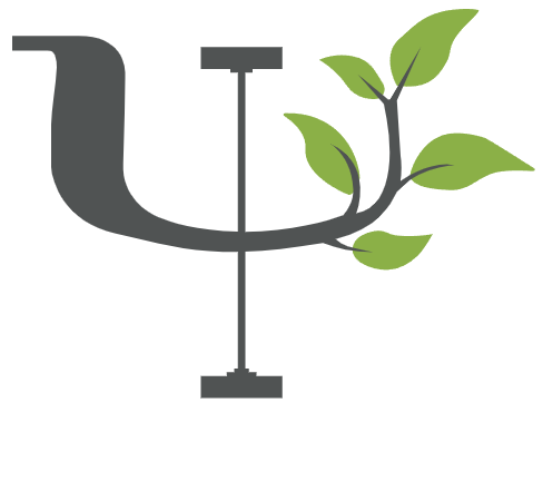 Institute of Psychology and Entrepreneurship